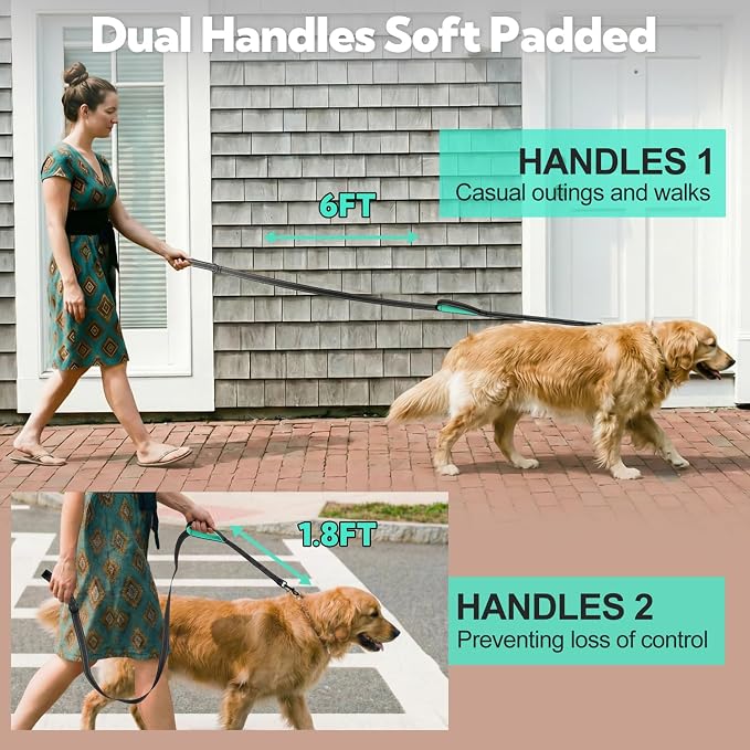 2-Handle Dog Leash Heavy Duty, Traffic Control & Night Safety Reflective Lead for Mid Large Dogs, Comfort Padded Grip Dog Leashes for Walking and Training(6 FT x 1" Wide, Black+ Teal)
