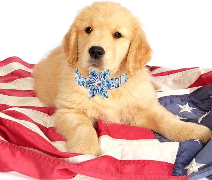 Maca Bates American Flag 4th of July Dog Collar with Flower Bow 4 of 7 for Dogs Adjustable Durable Icecream Patriotic USA Collars Summer Independence Day for Small Medium Large XL Boy Girl Puppy