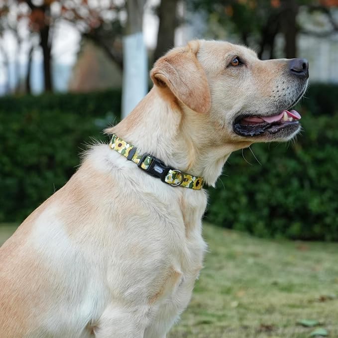 Dog Collar Leash Set, Floral Pattern, 5ft Matching Leash, Polyester Material, 4 for Small Medium Large Dogs.(S, Sunflower)