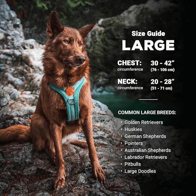 Wilderdog Lightweight Dog Harness with Reflective Straps - Large - Pacific Blue