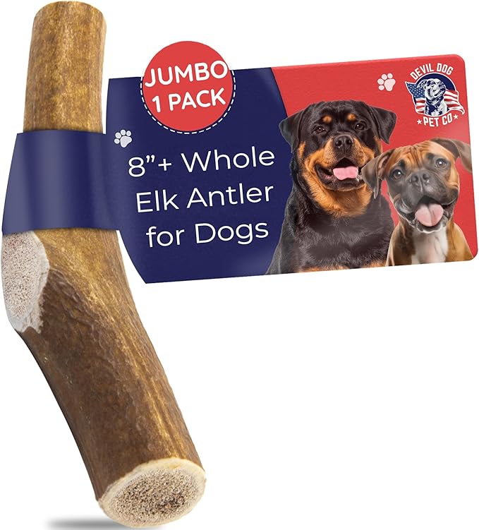 Devil Dog Pet Co. Elk Antlers for Dogs, Natural Dog Chew for Aggressive Chewers - Long Lasting and Odor Free - USA Sourced - Cleaner Teeth, Anxiety & Boredom Relief - Whole Jumbo 8"+ - Antler Bone
