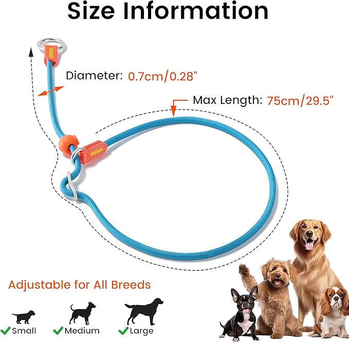 HowGo Slip Collar for Dogs,No Pull Adjustable Martingale Collar for Training, Nylon Rope,Dual Stopper and Durable Aluminum Hardware,Spring-Loaded,for Small Medium Large Dogs(Blue)