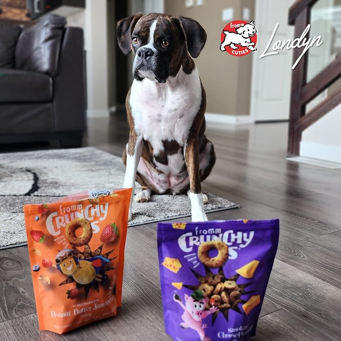 Fromm Crunchy Os Banana Kablammas Dog Treats - Premium Crunchy Dog Treats - Banana Recipe - 6 oz
