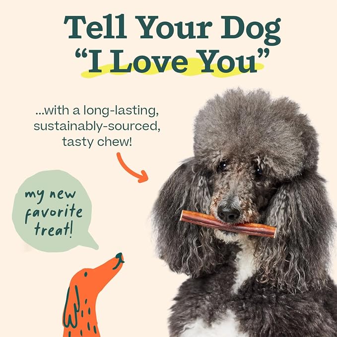 WOOF Bully Sticks Dog Treats - Chew Sticks for Dogs - Long-Lasting Dog Chew Treats - Made with Free-Range, Grass-Fed Beef - 12" Sticks - 10pk