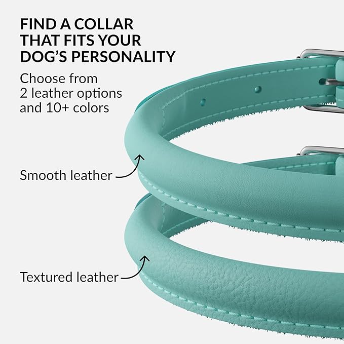 CollarDirect Reflective Rolled Leather Dog Collar, Soft Padded Round Puppy Collar, Handmade Genuine Leather Collar Dog Small Large Cat Collars 13 Colors (6-7 Inch, Mint Green Reflective)