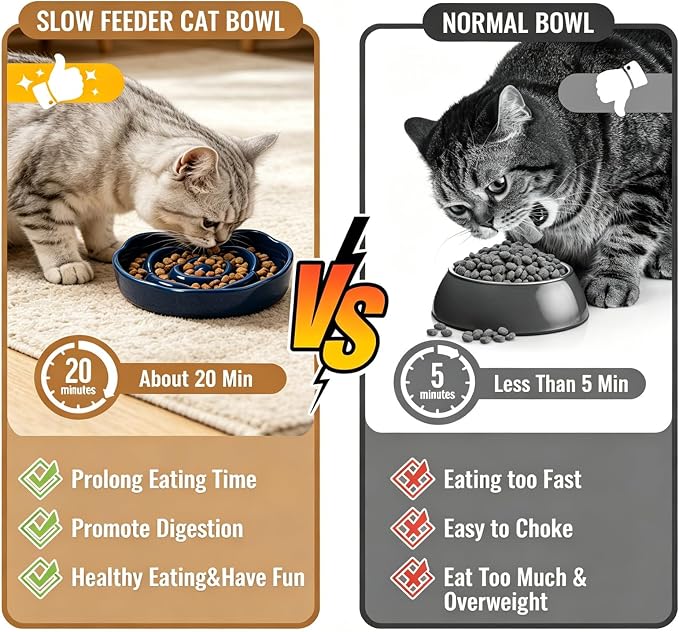 Slow Feeder Cat Bowl Set of 2, Ceramic Slow Feeding Cats Bowl Whisker Friendly, Anti Vomiting Cat Feeder for Dry and Wet Food，Fun Maze Interactive Bloat Stop Puzzle Bowls for Healthy Eating Diet