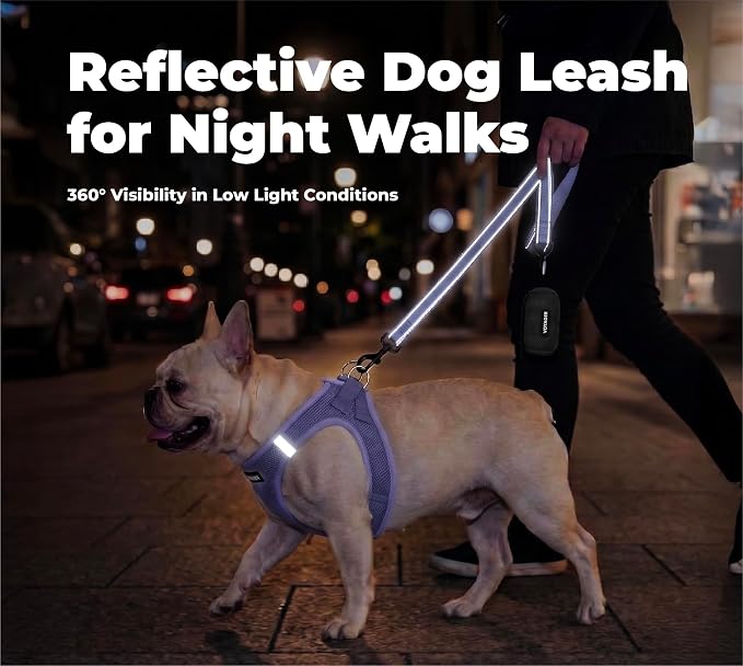 Best Pet Supplies Voyager Reflective Dog Leash or Collar with Neoprene Handle, for Small, Medium, and Large Breed Puppies, Cute and Heavy Duty for Walking, Running and Training - Lavender (Leash), M