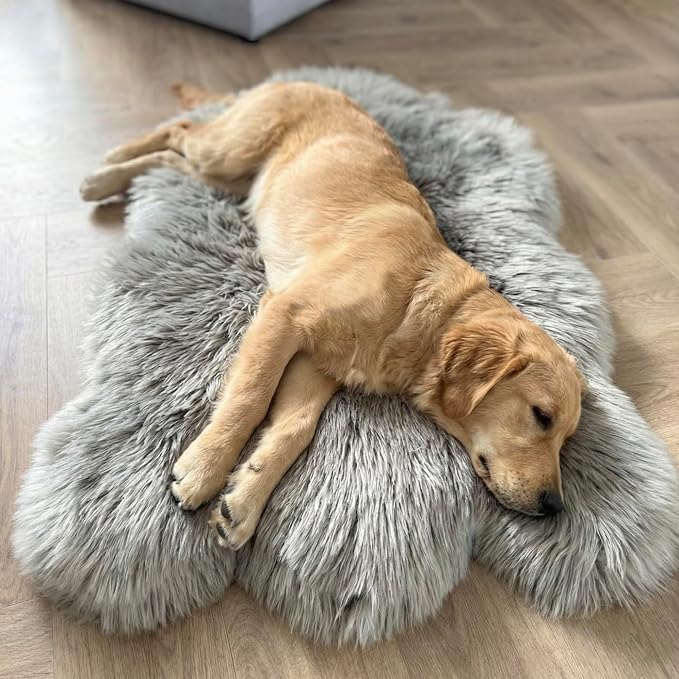 IHAPPYDOG Luxury Faux Fur Orthopedic Dog Bed, Memory Foam Dog Bed for Small, Medium, Large and XL Pets, Fluffy Pet Bed with Waterproof and Washable Cover (Grey, 40"x25")