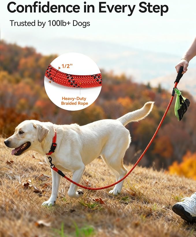 Joytale Dog Leash for Large Dogs, Heavy Duty Nylon Leashes with Comfortable Padded Handle and Highly Reflective Threads, Ideal for Walking and Training, Red, 5'×1/2''