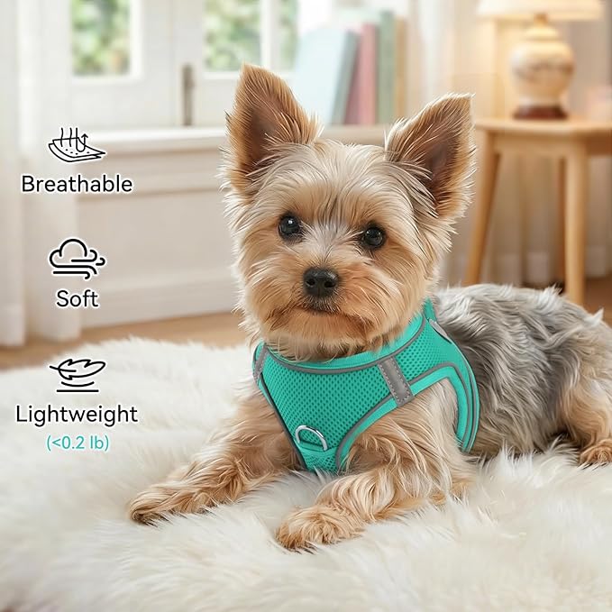 Joytale Small Dog Harness, Breathable Mesh Step-in Vest, Reflective Soft Padded Harnesses for Cats, Puppies and Extra Small Dogs, Teal, XXS