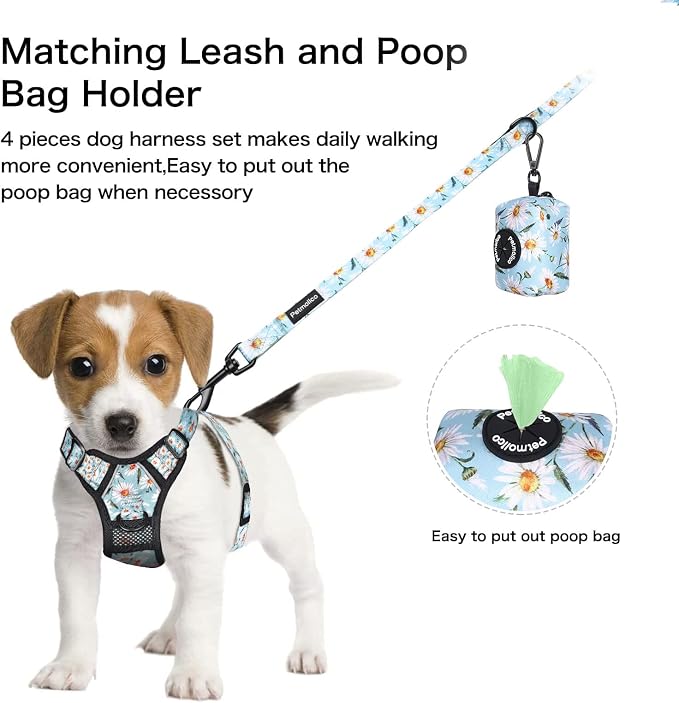 Petmolico No Pull Dog Harness Set with Leash Attachment Easy Control Handle Reflective Harness Vest Small Breed, Puppy Vest and Leash Set with Poop Bag Holder, Small - Daisy