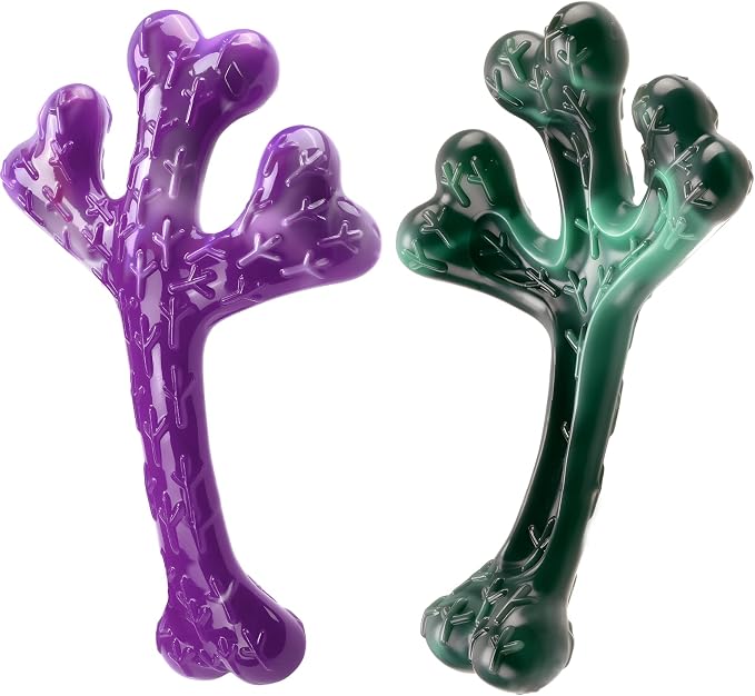 Frienhund 2 Pack Indestructible Dog Chew Toys for Aggressive Chewers - Textured Cactus with Grooves for Peanut Butter & Yogurt, Beef Nylon Bones for Large Dogs 20-90 lbs, Easy Chew & Long Lasting