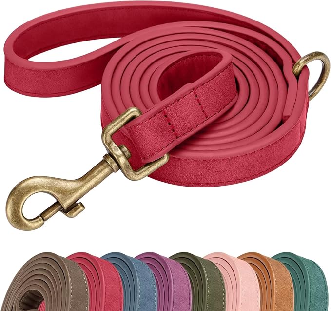 Didog Stylish PU Leather Dog Leash for Large Dogs, Easy to Clean 5ft Dog Leashes for Medium Dogs, Fashionable and Elegant for Walking, Running and Training,Red, M