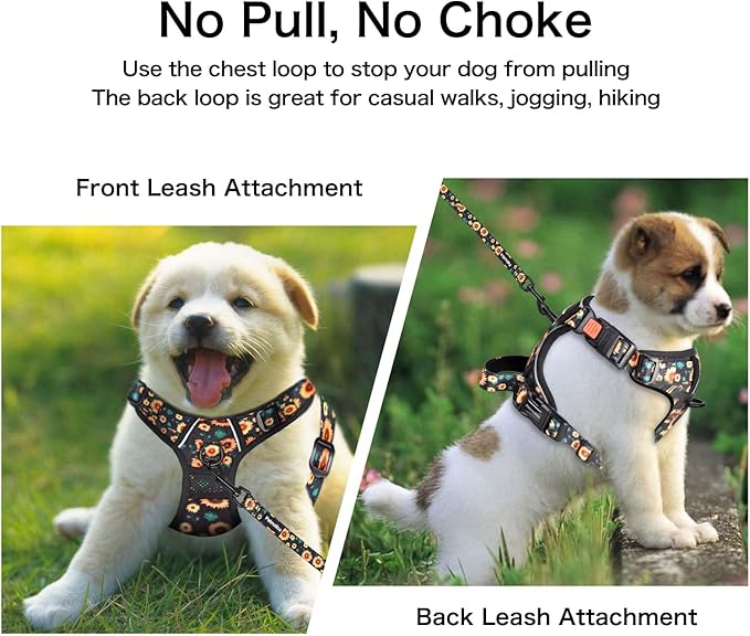 Petmolico No Pull Dog Harness Set, 2 Leash Attchment Easy Control Handle Reflective Vest Dog Harness Breed, Small Dogs Harness and Leash Set with Poop Bag Holder(S, Sunflower)