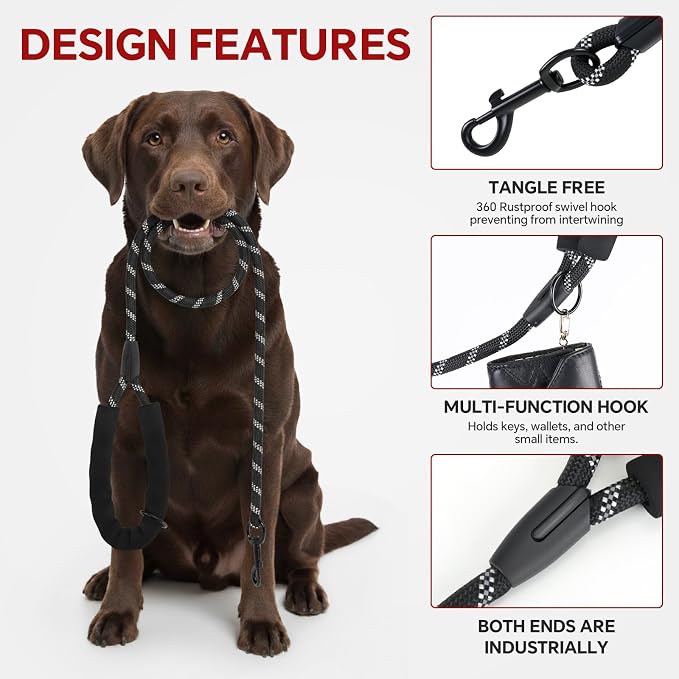 Heavy Duty Dog Leash, 4.9 FT for Large and Small Dogs, Strong Nylon, Comfortable Handle, Reflective Stitching - Ideal for Walking, Training, and Outdoor Activities, Black