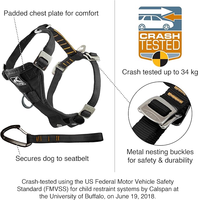 Kurgo Enhanced Strength Tru-Fit Dog Car Harness - Pet Travel Safety Harness - Crash Test Certified Fit - Five Point Adjustment - Secure Buckle - Padded Chest - Black - Small
