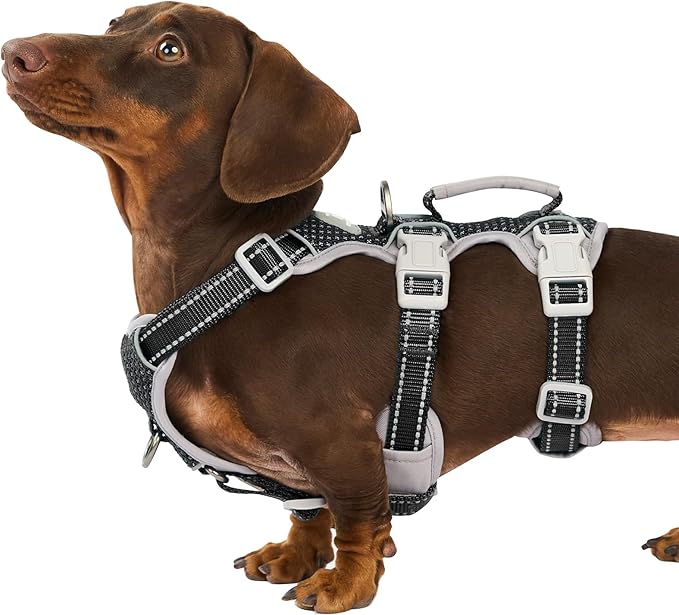 Huntboo Escape Proof Dog Harness, Escape Artist Harness, Fully Reflective Harness with Padded Handle, Breathable,Durable, Adjustable Vest for Medium Dogs Walking, Training, and Running Gear (Black,XS)