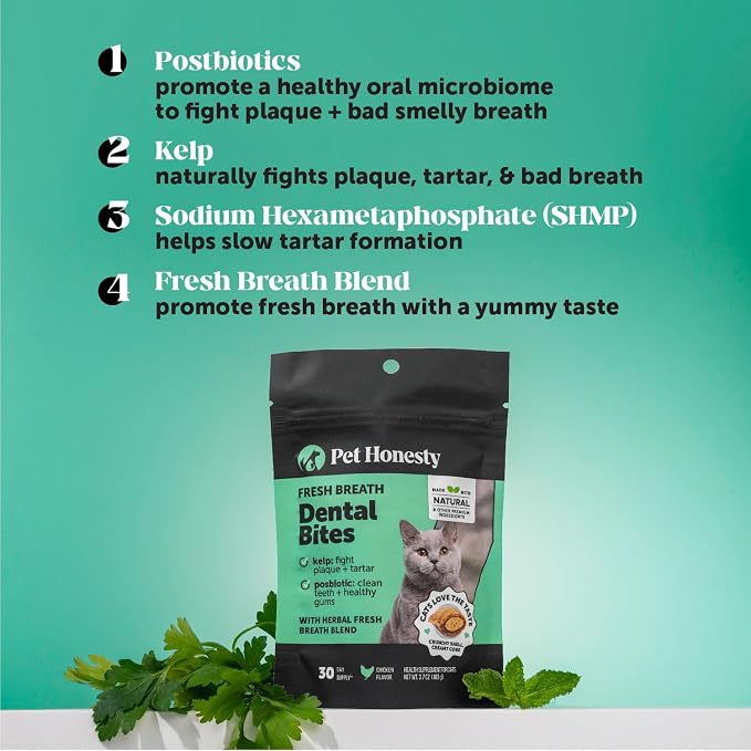 Fresh Breath Dental Bites for Cats – Crunchy & Creamy Cat Dental Treats for Fresh Breath, Tartar & Plaque Control – Dual-Texture Cat Oral Care Bites for Bright Teeth & Healthy Gums – 90 Day Supply
