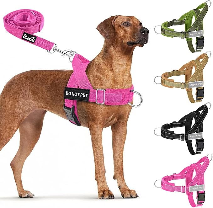Lukovee No Pull Dog Harness and Leash Set - Adjustable Soft Padded Vest with Front Clip for Easy Control, Reflective Durable Harness for Safe Daily Training Walking for Medium Large Dogs (XL, FU)