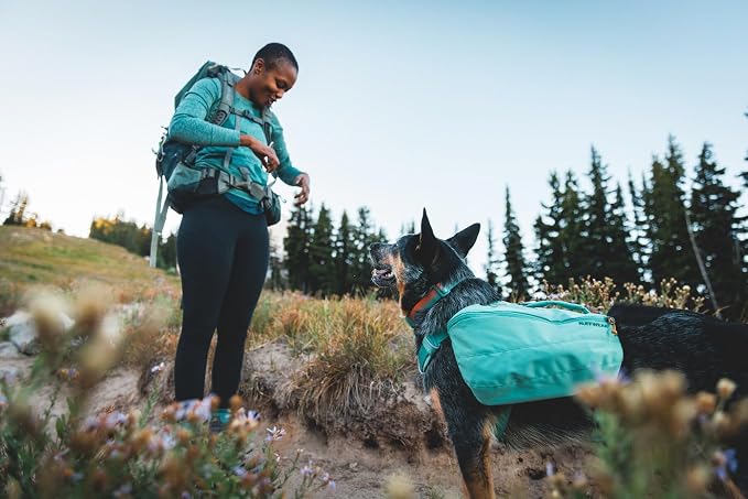 Ruffwear, Front Range Dog Collar, Adjustable Tubelok Webbing, Lightweight, Side Release Buckle, Aluminum V-Ring, Durable for Everyday Use, Blue Pool, 20"-26"