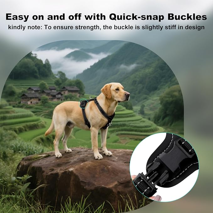 Plutus Pet Adjustable No Pull Dog Harness with Leather Accents, Heavy Duty Reflective Nylon Vest for Training, Hiking, Easy Walk Harness for Small, Medium, Large Dogs (Black, L)