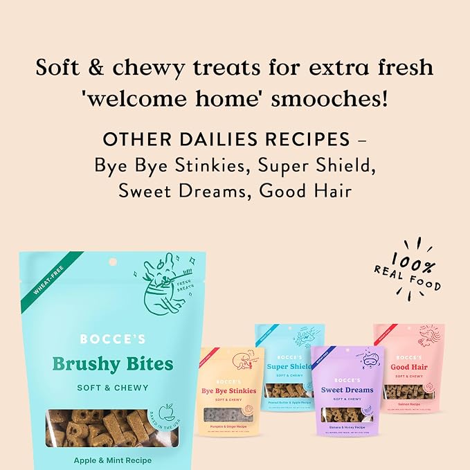 Bocce's Bakery Dailies Brushy Bites Dog Treats for Wellness Support, Wheat-Free Dog Treats, Made with Real Ingredients, Baked in The USA, Natural Soft & Chewy, Apple & Mint Recipe, 6 oz