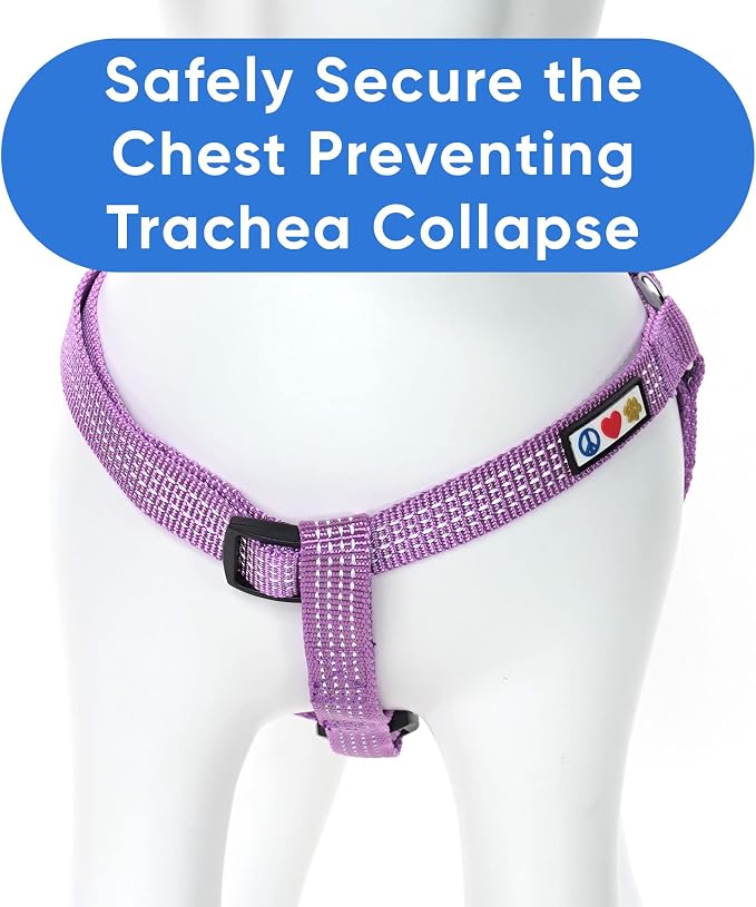 Pawtitas Reflective Step-in Dog Harness – Adjustable No-Pull Vest for Puppies to Seniors, Safe & Comfortable, XS Orchid