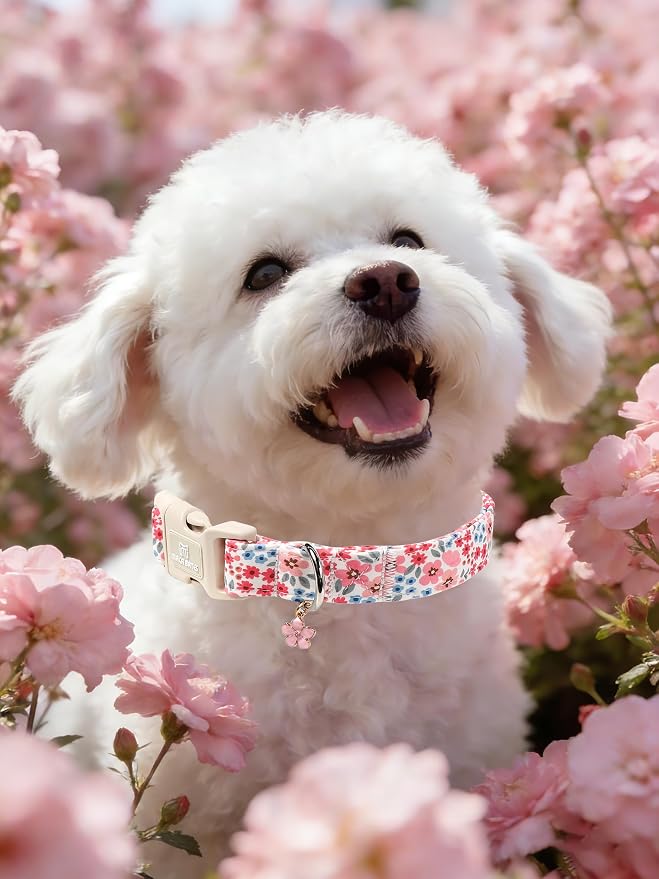 Maca Bates Pink Floral Basic Dog Collar with Cute Flower Charm for Extra Large Girl Boy Dogs, Girly Pastel Blossom Pattern,Adjustable Durable Soft Collars Spring Gift for Female Puppy