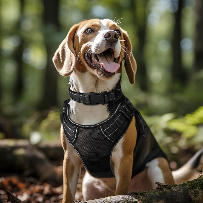 Joytale Reflective Dog Collar, Soft Neoprene Padded, Metal D-Ring, Nylon Pet Collar Adjustable for Large Dogs, Black, L