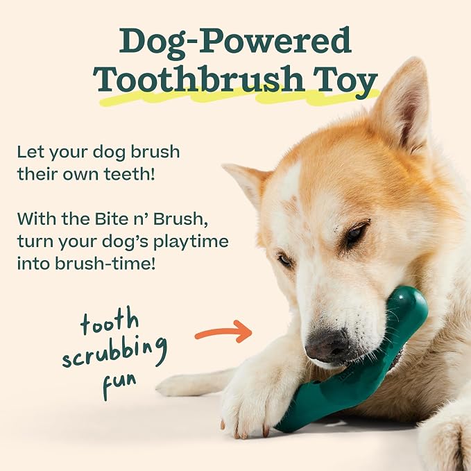 WOOF - Bite n' Brush Refills Treats for the Dog Toothbrush Toy - Scrub Plaque and Tartar from Your Dog's Teeth and Mouth - Dog Dental Sticks - 36 Refills - Beef - 2 Pack