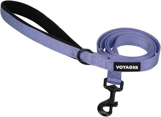 Best Pet Supplies Voyager Reflective Dog Leash or Collar with Neoprene Handle, for Small, Medium, and Large Breed Puppies, Cute and Heavy Duty for Walking, Running and Training - Lavender (Leash), S