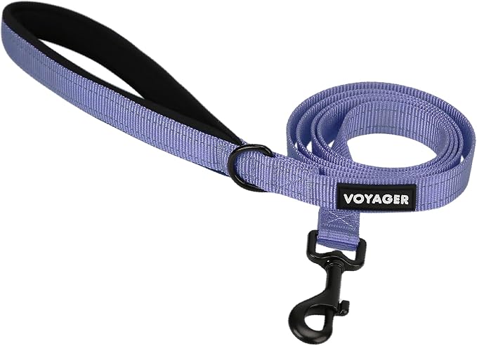 Best Pet Supplies Voyager Reflective Dog Leash or Collar with Neoprene Handle, for Small, Medium, and Large Breed Puppies, Cute and Heavy Duty for Walking, Running and Training - Lavender (Leash), M