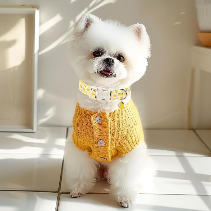 Summer Dog Collar Yellow Lemon Dog Collars for Medium Dogs - Lightweight Adjustable Cute Male Female Dogs Everyday Collar with Safety Buckle M