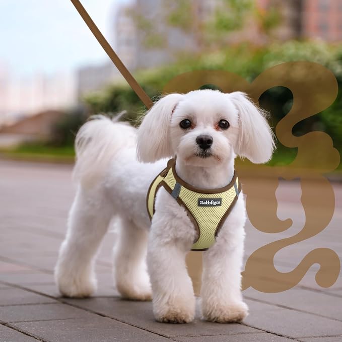 rabbitgoo Dog Harness Small Sized and Leash Set, Step-in Breathable Pet Harness, Soft Walking Reflective Puppy Vest for Small Dogs, Beige & Coffee, XXS