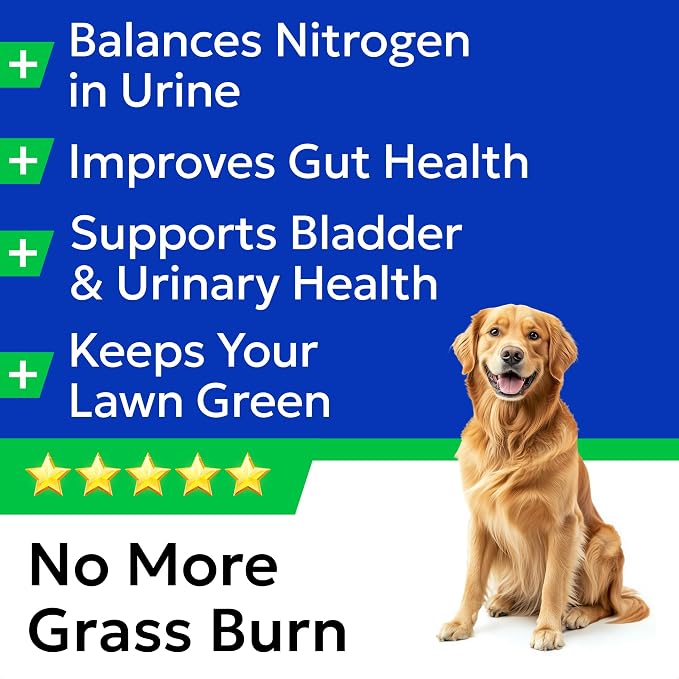 BARK&SPARK Green Grass Dog Chews – Dog Pee Grass & Urine Neutralizer for Lawn, Grass Burn Spot Chews with Probiotics & Enzymes, Helps Reduce Lawn Burn from Dog Urine (120 Soft Chews)