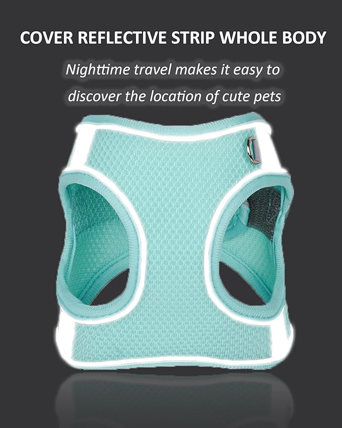 Solmoony Dog Harness for Small Medium Dogs No Pull, Puppy Harness and Leash Set, Puppy Harness, Step in Harness for Small Dogs, mesh Dog Harness. (Bule, M)