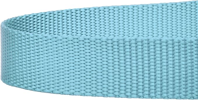 Country Brook Petz - Everyday Nylon Dog Leash - Strong, Durable, Solid Color Leash with Easy to Use Snap - 25+ Colors (1 Inch Wide, 6 Foot, Ocean Blue)