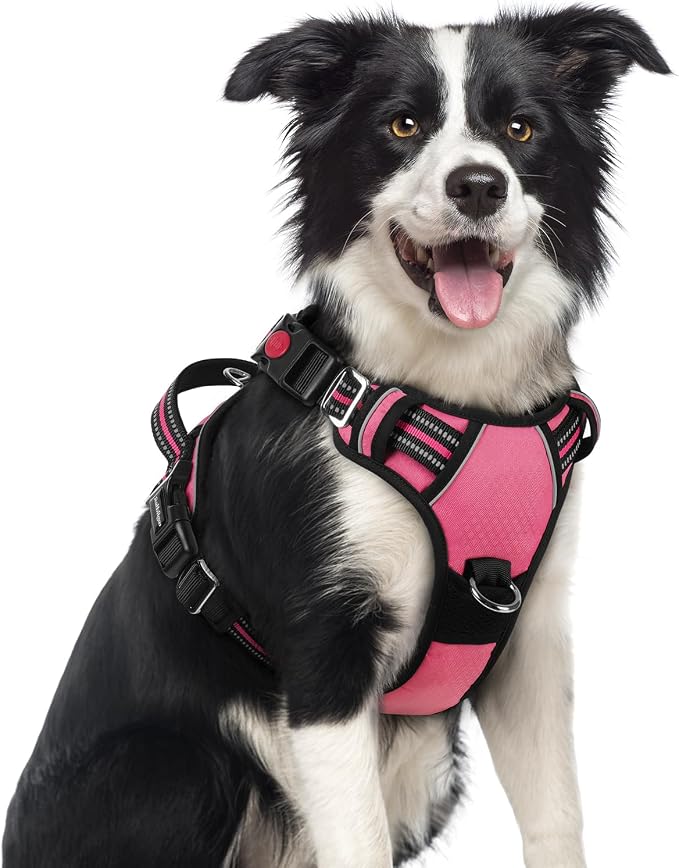 rabbitgoo Dog Harness Medium Sized, 3 Buckles Easy On & Off No Pull Pet Vest, Soft Padded Walking Pet Harness with Control Handle, Adjustable and Reflective, Pink, M