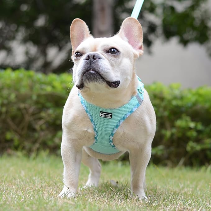 Mercano Soft Mesh Dog Harness and Leash Set, Step-in Reflective Breathable Lightweight Vest Harnesses with Safety Buckle for Small Dogs, Cats (Light Green, S)