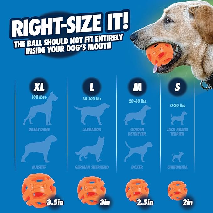 Chuckit! Dog Ball Air Fetch Breathe Easy Fetch Toy for Dogs, Medium (2.5 Inch Diameter), for dogs 20-60 lbs, Pack of 1