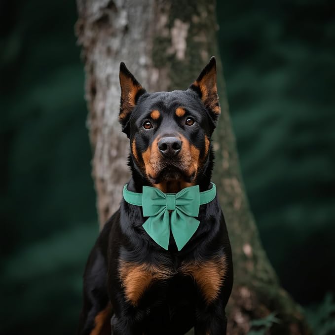 Maca Bates Jade Green Dog Collar with Cute Solid Sailor Bow Tie for Medium Girl Boy Dogs,Adjustbale Durable Breakaway Soft Collars with Bowtie for Female Male Puppy,Pet with Metal Buckle