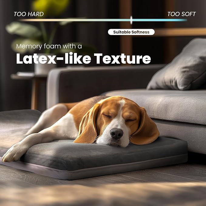 Laifug Orthopedic Dog Beds for Large Dogs,3" Memory Foam Dog Beds,Durable Water Proof Liner Removable and Washable, Nonskid Bottom,Grey 40"x25"x3"