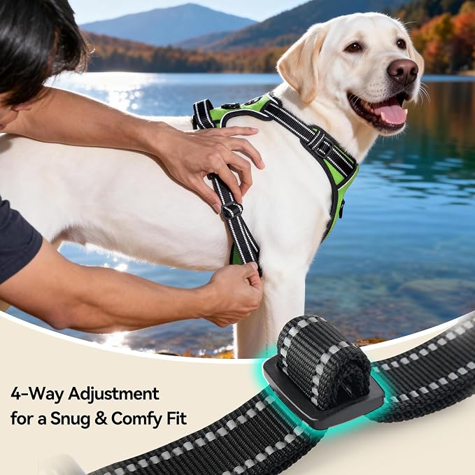 PHOEPET Reflective Dog Harness No Pull Large Breed Vest with 2 Metal Leash Attachment Hooks(XL, Green)