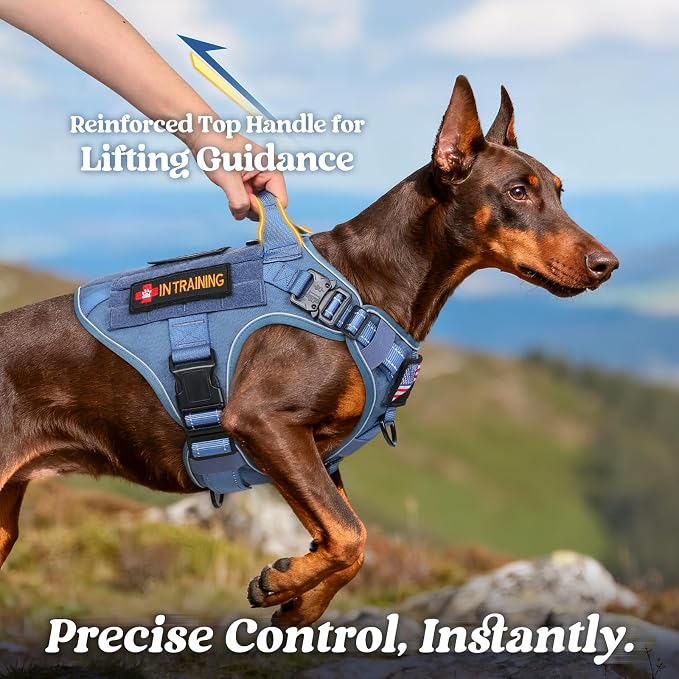rabbitgoo Tactical Dog Harness for Large Dogs, No Pull Upgraded Reflective Heavy Duty Molle Vest with Handle, Adjustable Military Service Dog Vest for Walking Hiking Training, Blue, XL