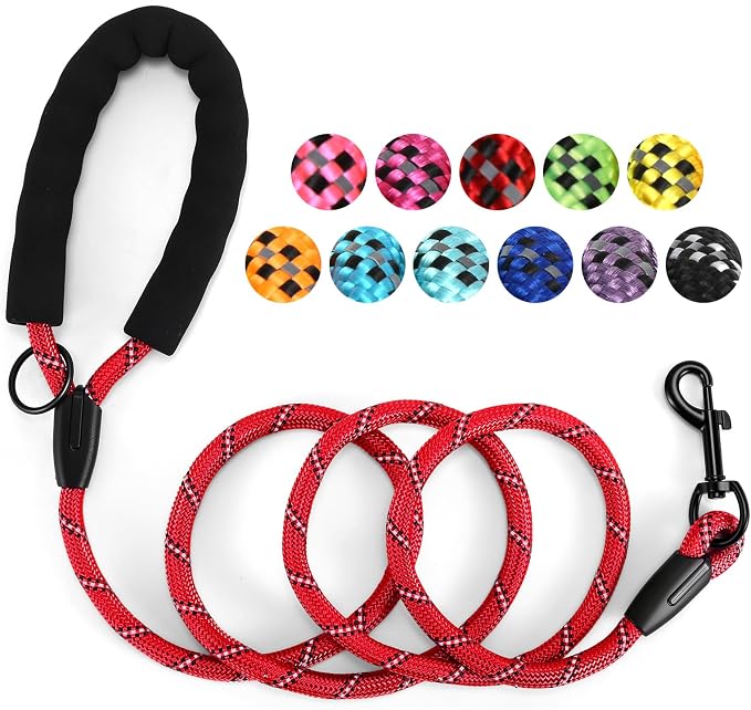 Heavy Duty Dog Leash - 4.9 FT for Large and Small Dogs - Strong Nylon, Comfortable Handle, Reflective Stitching - Ideal for Walking, Training, and Outdoor Activities, Red