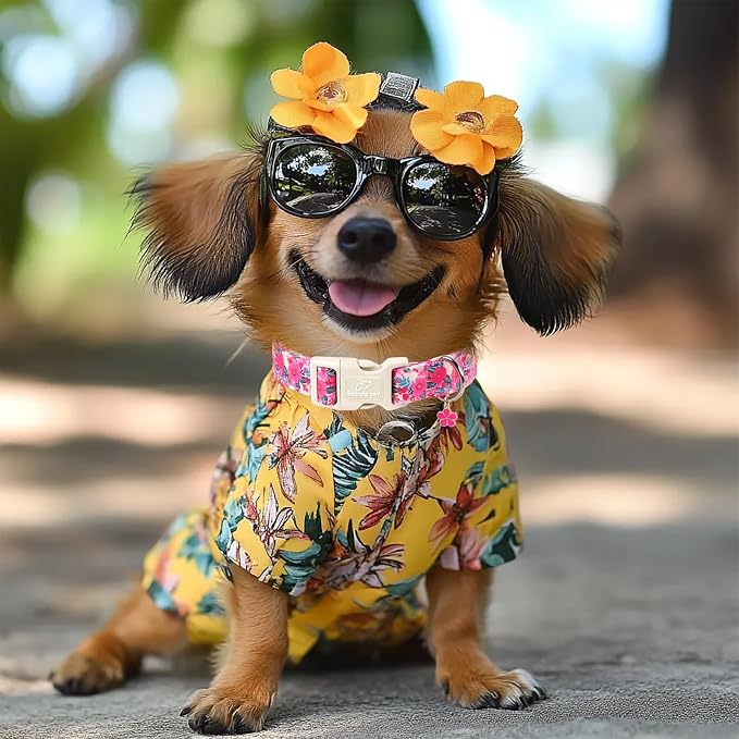 Summer Floral Dog Collar Girl Dog Collars for Puppy Small Dogs - Lightweight Adjustable Hot Pink Boho Female Dogs Everyday Collar with Safety Buckle XS