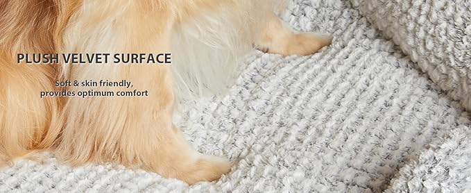 LEXTRO Orthopedic Dog Bed for Large Dogs, Egg Crate Foam Bed for Large Dogs, Equipped with Removable Waterproof Pillow Cover and Anti-Slip Bottom, Pet Bed