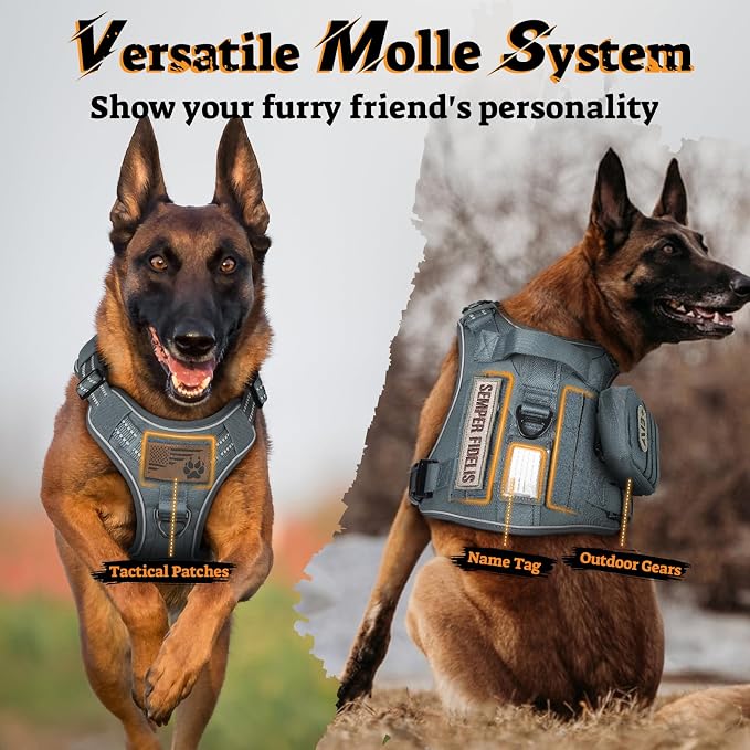 rabbitgoo Tactical Dog Harness for Large Dogs No Pull Adjustable Military Vest with Handle MOLLE Reflective Heavy Duty Dog Vest for Walking Training Hunting Outdoor Working Medium Size Dog Grey M