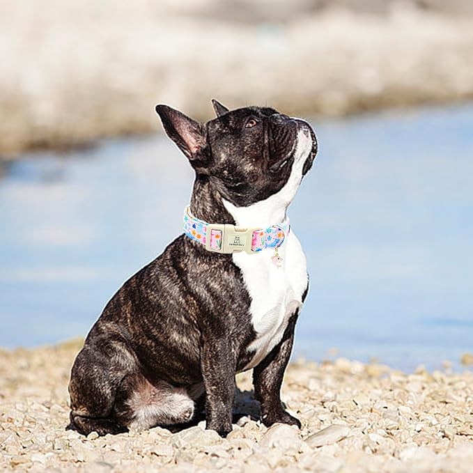 Lionheart glory Dog Collar Sea Animals Print Pink Dog Collars Male or Female Spring Summer Cute Collar Pet Gift Durable Adjustable Dog Collar for Medium Dogs