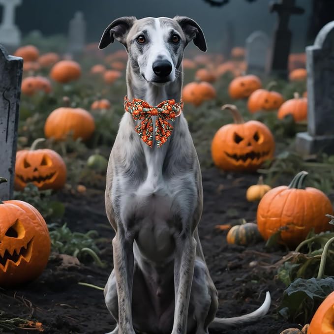 Unique style paws Cartoon Dog Collar with Bowtie Autumn Halloween Puppy Collar with Oil Painting Pumpkin for Small Medium Large Boys Girls Dogs